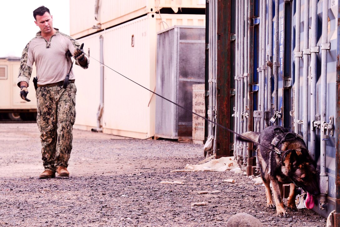 Navy Petty Officer 2nd Class Victor Green and his dog, Koko, a military working dog, look for improvised explosive devices during a training at Camp Lemonnier, Djibouti, June 9, 2017. Green is a military working dog handler assigned to Combined Joint Task Force-Horn of Africa. Air Force photo by Staff Sgt. Lindsay Cryer