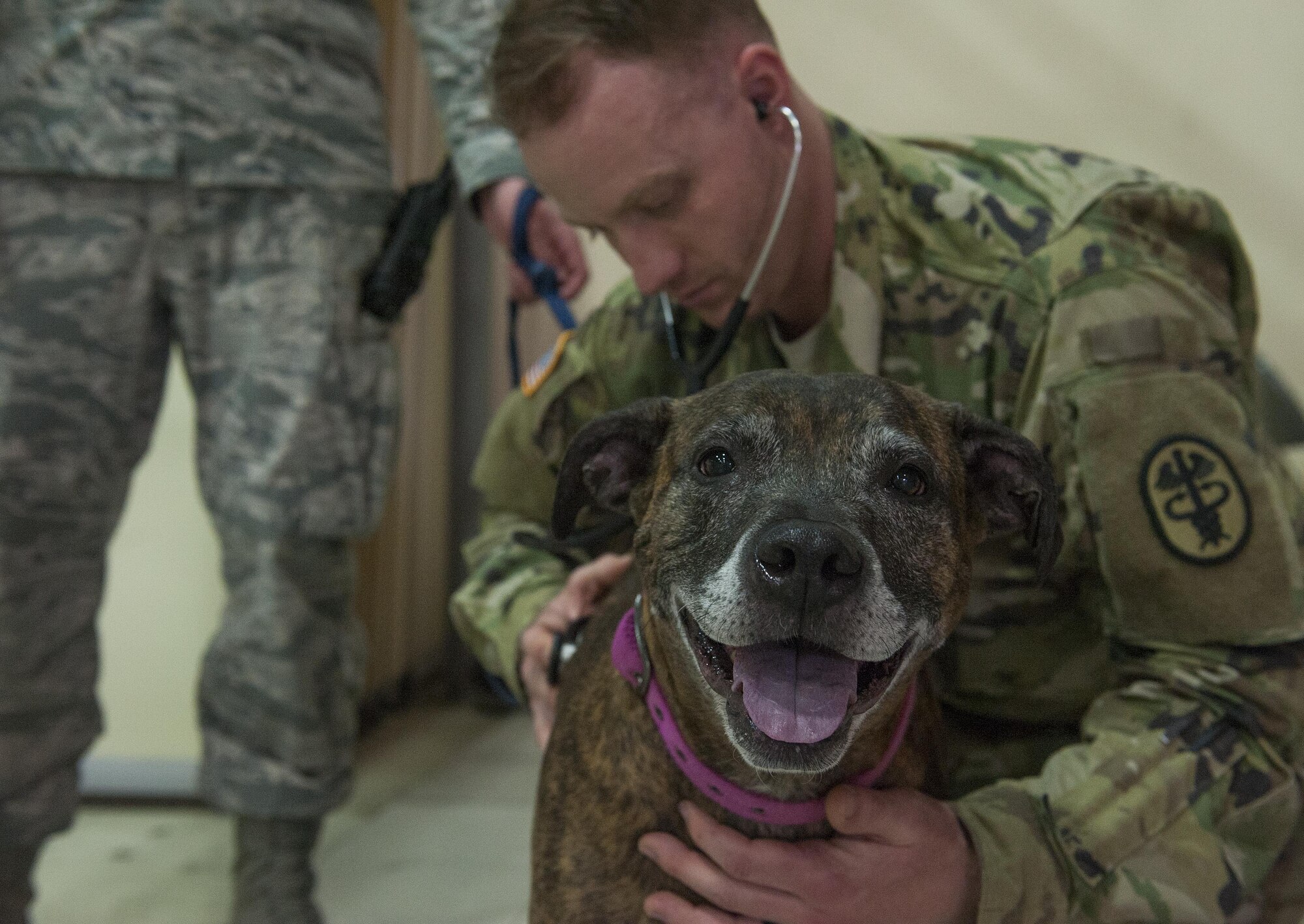 The Fairchild Veterinary Treatment Facility has individualized checklists by location available to make moving with your pet a little less stressful. Stop by the VTF at 402 N. Vet Road and pick one up to make sure that your pet is up to date and ready to travel with you this permanent change of station season. (U.S. Air Force photo by Tech. Sgt. Joshua Jasper)