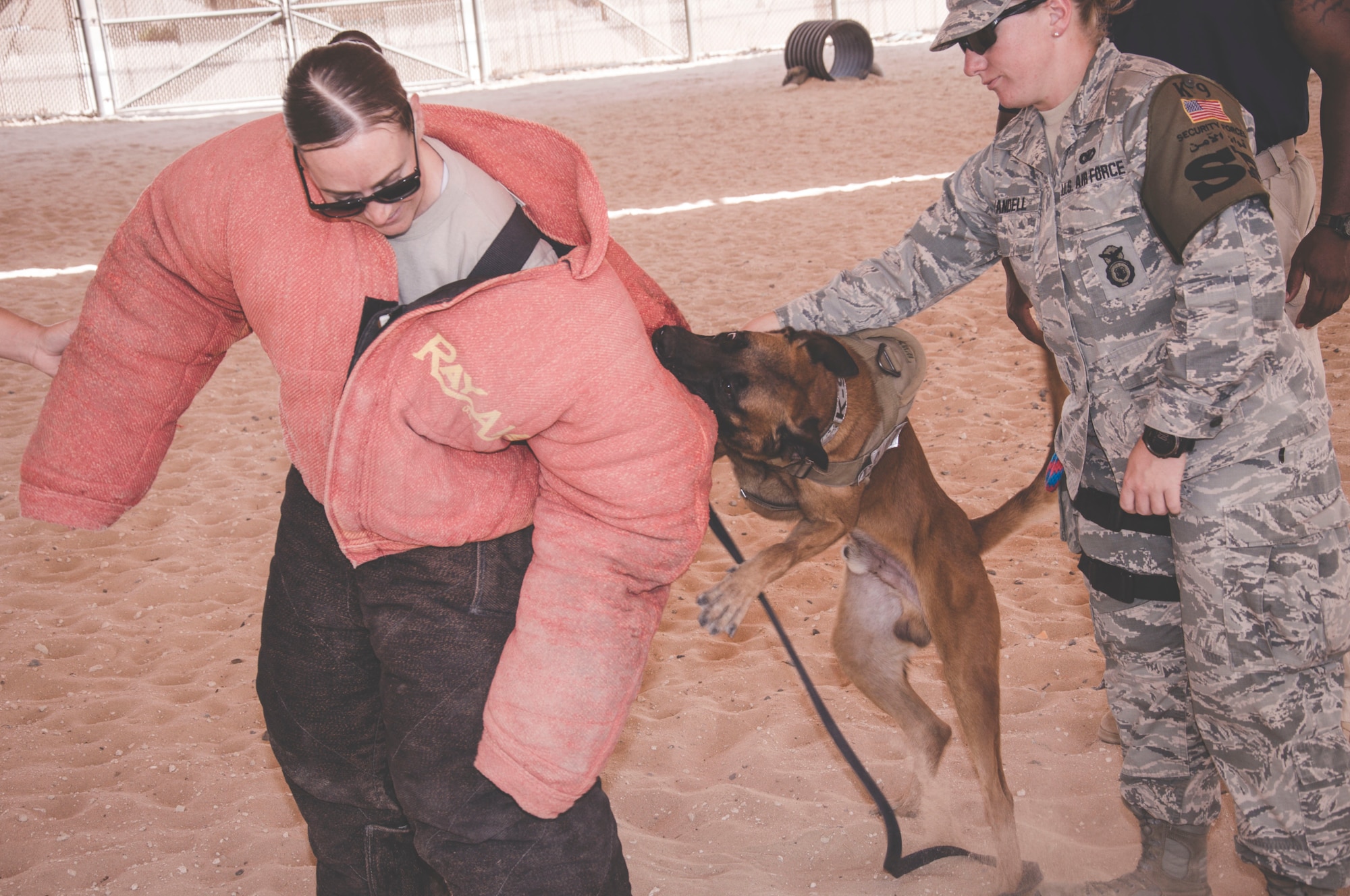 Staff Sgt. Jessica Moore (left) tries to flee from military working dog Lloren, as handler Staff Sgt. Sara Yandell regains control of MWD Lloren during a patrol phase of training. (U.S. Air Force Photo/Master Sgt. Eric M. Sharman)