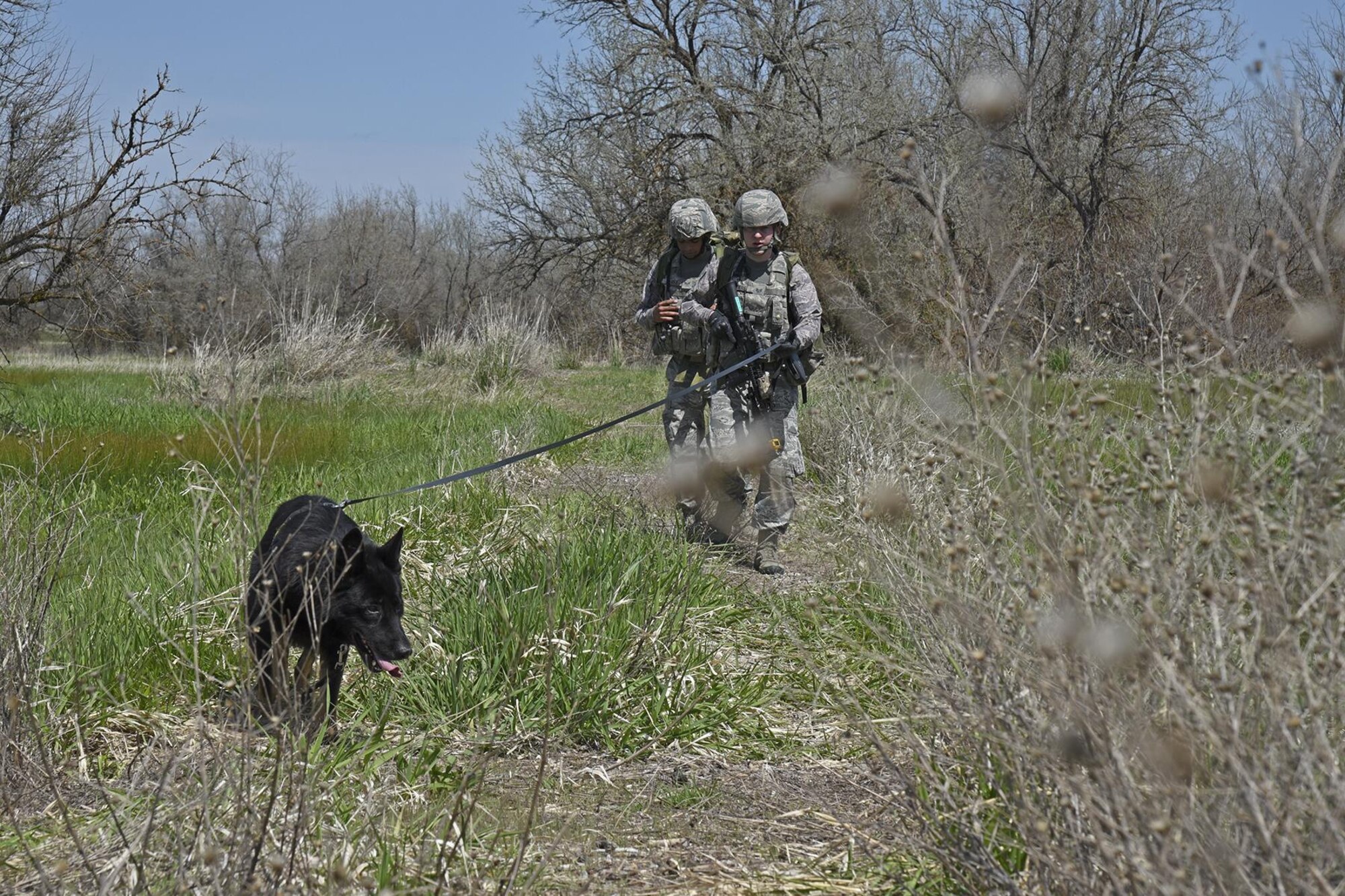 Staff Sgt. Jacob Diers and Senior Airman Ivan Mendez, 92nd Security Forces Squadron Military Working Dog handlers, sweep a roadway with MWD Rosso during a ruck march May 10, 2017, at Fairchild Air Force Base, Washington. When training, the unit conducts detection sweeps of roadways and villages, ruck marches with simulated explosives and gunfire and challenging physical training in order to prevent injury. (U.S. Air Force photo/Senior Airman Mackenzie Richardson)