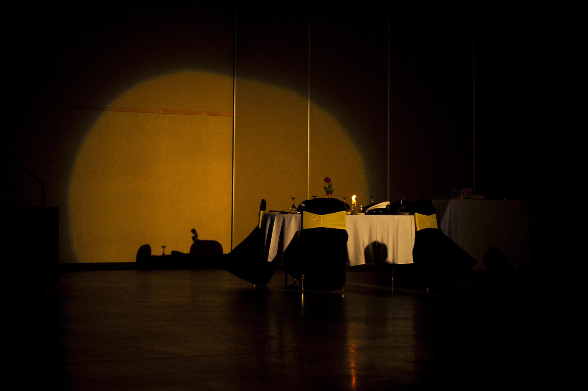 Prisoner of War, Missing in Action table spotlighted during a moment of silence for the remembrance ceremony during the Army Ball at the McNease Convention Center San Angelo, Texas, July 16, 2017. At the beginning of most military ceremonies, the POW/MIA table is given a moment of silence to remember those who are yet unaccounted for from past armed conflicts. (U.S. Air Force photo by Senior Airman Scott Jackson/Released)