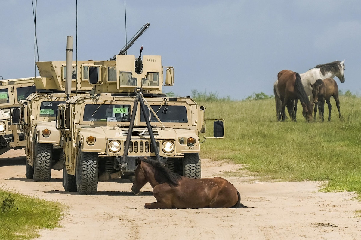 A wild horse lies on the road, blocking an Army convoy.
