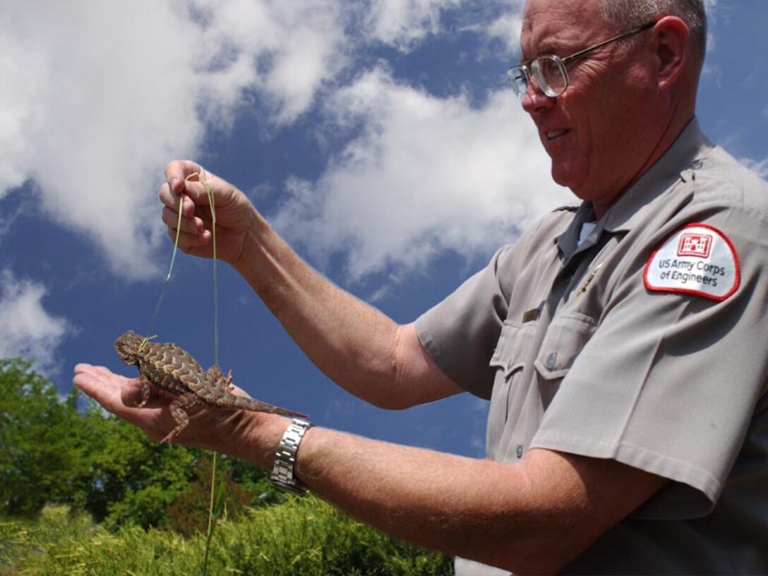 A park ranger at Black Butte Lake shows a horned-toad.