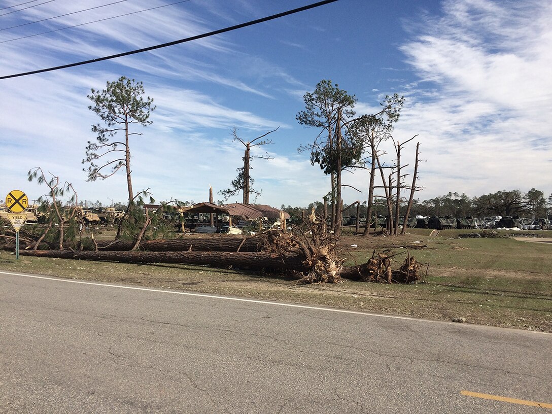 An EF3 tornado ravaged areas of Albany, Georgia, uprooting trees and destroying buildings along its 70-mile path. DLA Information Operations provided assistance to DLA Distribution employees in getting back up and operating.