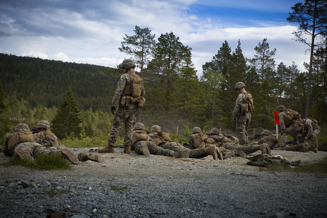 Marines assigned to Marine Rotational Force Europe 17.1 conduct a M240B medium machine gun range near Stjørdal, Norway, June 7, 2017. The Marines fired the M240B medium machine gun and the MK19 40mm automatic grenade launcher at targets up to 500 meters away. Marine Corps photo by Cpl. Victoria Ross