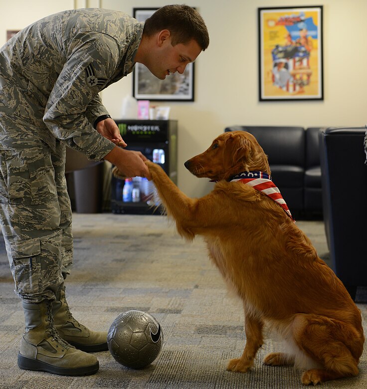 U.S. Air Force Senior Airman Logan, 45th Intelligence Squadron, is greeted by Sadie at the Langley USO center at Joint Base Langley-Eustis, Va., June 19, 2017. Sadie’s owner, Hannah Hendricks, is the USO volunteer and special programs coordinator and oversees operations at the Langley Air Force Base USO center. (U.S. Air Force photo/Staff Sgt. Teresa J. Cleveland)