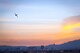 A B-1B Lancer from the 77th Weapons Squadron, Dyess Air Force Base, Texas, banks over the Las Vegas skyline during a US Air Force Weapons School training exercise June 8, 2017 at Nellis AFB, Nev. Nellis AFB covers more than 14,000 acres just north of the famous Las Vegas strip, while the total land area occupied by Nellis and its restricted ranges is about 5,000 square miles. (U.S Air Force photo by Senior Airman Joshua Kleinholz)