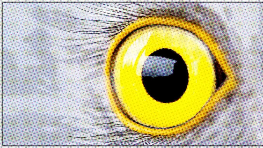 The Eagle Eyes program gives the power of reporting suspicious or unnerving behavior to all active duty, dependents and civilian personnel at Misawa Air Base, Japan, to the 35th Security Forces or Air Force Office of Special Investigation. The most common Eagle Eye reports on Misawa AB are surveillance and elicitation. (U.S. Air Force graphic by Senior Airman Deana Heitzman)