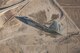 An F-22 Raptor assigned to the 411th Flight Test Squadron maneuvers over the Mojave Desert during a test mission. The 411th Flight Test Squadron’s quick integration of MGRS interface software enabled the Raptor to effectively engage ISIS targets in Syria. (Photo by Chad Bellay/Lockheed Martin)
