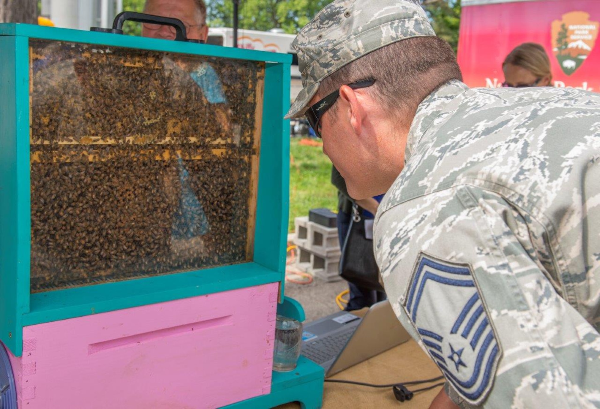 Senior Master Sgt. Benjamin Trevino,Air Force Materiel Command chaplain assistant functional manager, observes a live demonstration hive at the Pollinator Expo held at the Wright Brothers MemorialJune 21. Pollinators, also known as bees are vital to the pollination process of a third of the food people consume such as fruits,vegetables and nuts. (U.S.Air Force photo/Michelle Gigante)
