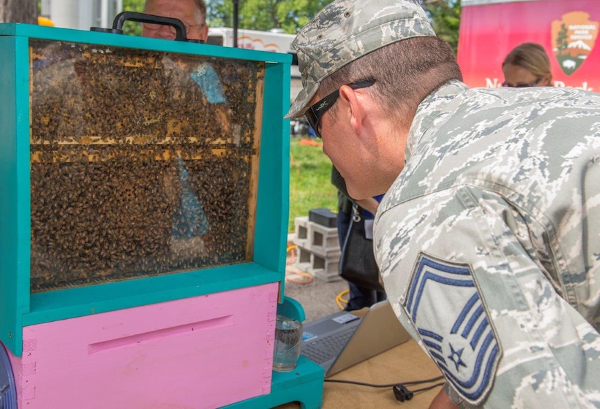Senior Master Sgt. Benjamin Trevino, Air Force Materiel Command chaplain assistant functional manager, observes a live demonstration hive at the Pollinator Expo held at the Wright Brothers Memorial June 21. Pollinators, also known as bees are vital to the pollination process of a third of the food people consume such as fruits,vegetables and nuts. (U.S. Air Force photo/Michelle Gigante)