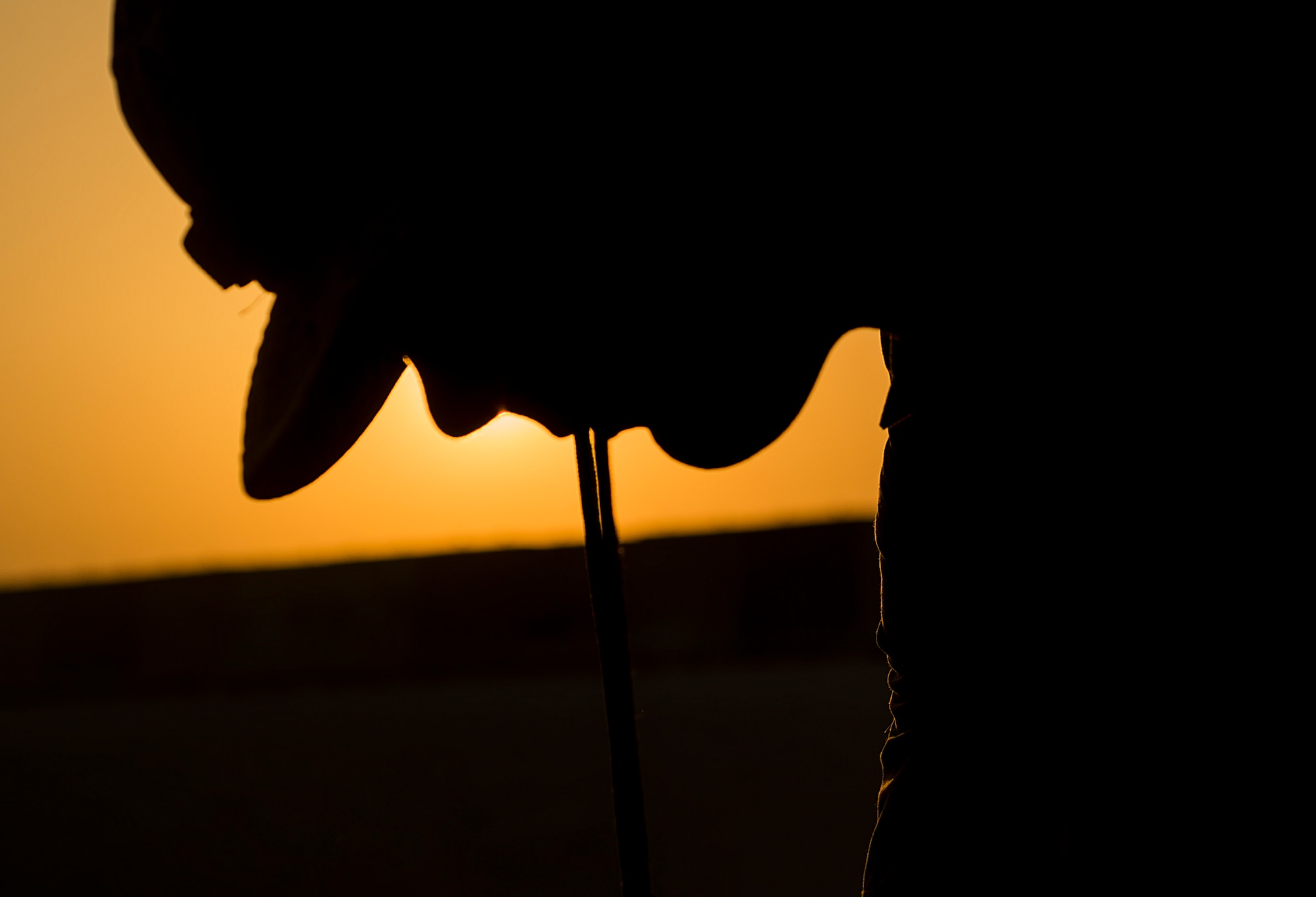 A munitions technician, assigned to the 23rd Expeditionary Aircraft Maintenance Unit, prepares to load munitions on a B-52 Stratofortress assigned to the 23rd Expeditionary Bomb Squadron at an undisclosed location in Southwest Asia, June 15, 2017. The 23rd EAMU provided the 400th consecutive sortie without a maintenance cancellation on the day the 23rd EBS celebrated the 100th anniversary of the unit. (U.S. Air Force photo by Staff Sgt. Trevor T. McBride) 