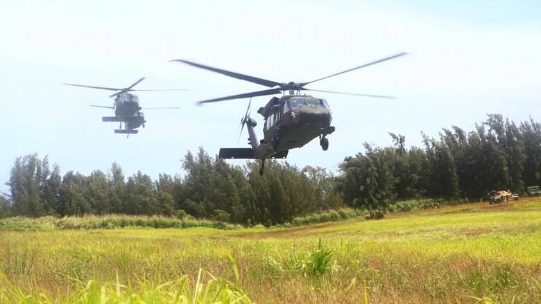 UH-60 Black Hawk helicopters assigned to 25th Combat Aviation Bregade, land at Training Area Kahukus during exercise Bougainville 1-17.2, Hawaii, June 15,  2017. Bougainville is an Exercise conducted to enhance the battalion's lethality and effectiveness as a force in readiness. (U.S .Marine Corps Photo by Cpl. Alex Kouns/Released)