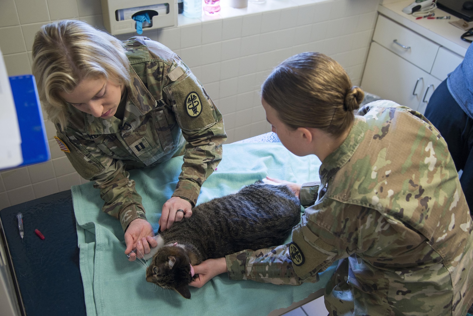U.S. Army Captain Daniela Roberts, South Texas Branch Veterinarian Services veterinarian, administers a shot to a cat as Sgt. Chelsea Hanneman, South Texas Branch Veterinarian Services veterinarian technician, holds it during its annual checkup June 19, 2017, at Joint Base San Antonio-Randolph Veterinarian Clinic.  Military veterinarians ensure the strength of veterinary public health capabilities through veterinary medical and surgical care, food safety and defense, biomedical research and development.