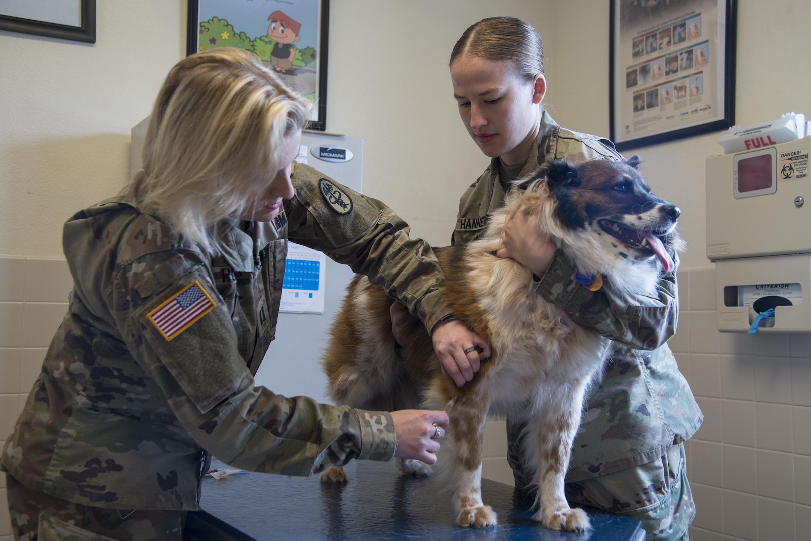 U.S. Army Captain Daniela Roberts, South Texas Branch Veterinarian Services veterinarian, administers a shot to a dog as Sgt. Chelsea Hanneman, South Texas Branch Veterinarian Services veterinarian technician, holds it during its annual checkup June 19, 2017, at Joint Base San Antonio-Randolph Veterinarian Clinic.  Military veterinarians ensure the strength of veterinary public health capabilities through veterinary medical and surgical care, food safety and defense, biomedical research and development.