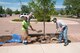 Col. Eric Dorminey, 21st Space Wing vice commander, along with Andy Schlosberg from the Colorado State Forest Service (right) and Quinten Jordan fill in the dirt around a tree that was planted for Arbor Day on Peterson Air Force Base, Colo., June 20, 2017. Two trees were planted during the ceremony, which add to the nearly 10,000 trees currently on Peterson AFB. (U.S. Air Force photo by Steve Kotecki)