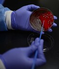 U.S. Air Force Airman 1st Class Julia Maldonado, 633rd Medical Support Squadron Laboratory medical laboratory technician, tests a blood sample at Joint Base Langley-Eustis, Va., June 26, 2017. In order to ensure the most accurate results possible, it is important to follow the physician’s instructions, prior to submitting samples. (U.S. Air Force photo/Staff Sgt. Teresa J. Cleveland)