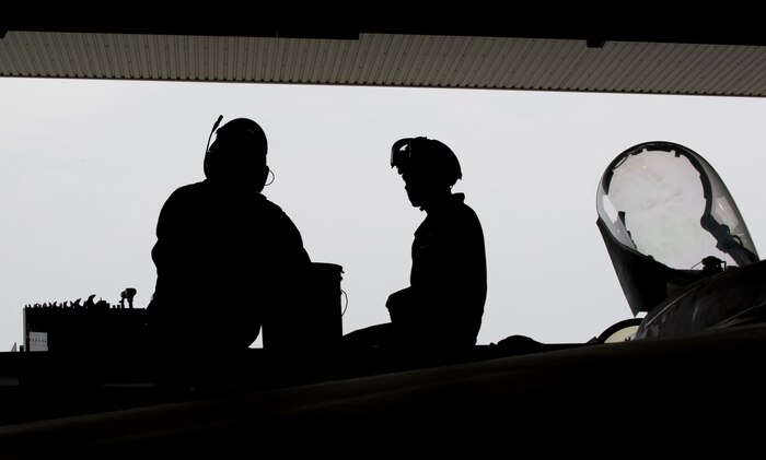 U.S. Marines with Marine Fighter Attack Squadron (VMFA) 232, conduct maintenance on an F/A-18C Hornet during scheduled phase maintenance at Marine Corps Air Station Iwakuni, Japan, June 27, 2017. When aircraft go through phase maintenance, mechanics are able to perform in-depth maintenance to enhance the welfare of the aircraft. The definitive objective of the evaluation is to ensure mission accomplishment and safety of operations around the Indo-Asia Pacific region.  (U.S. Marine Corps photo by Lance Cpl. Mason Roy)