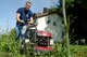 2nd Lt. John Allen, a production engineer in the KC-46 Program Office, tends to the lawn at the House of Bread Dayton during a KC-46 Program Office volunteer opportunity there June 28, 2017. House of Bread Dayton has four full-time staff to provide over 270 meals a day to community members in need and says that larger groups like the 15 members of the KC-46 Program Office not only allow for providing the meals, but also to complete critical facility upkeep. (U.S. Air Force photo/John Harrington)