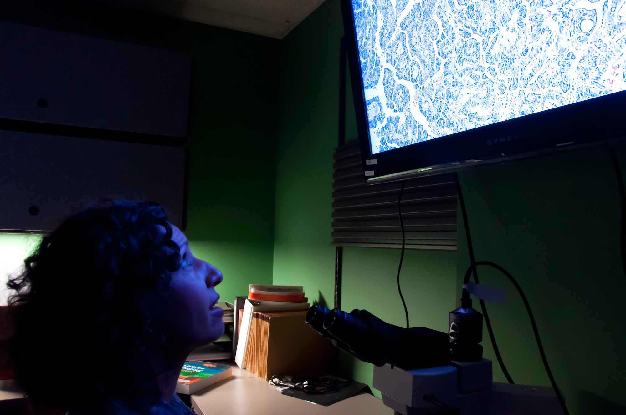 Maj. (Dr.) Luisa Watts, Wright-Patterson Medical Center staff pathologist, reviews a biopsy slide in order to diagnose if a disease is present and, if so, to properly identify and classify it so that doctors can determine the best course of action for their patient. Watts, along with three other staff pathologists at the WPMC, review some 7,000 cases annually. (U.S. Air Force photo/John Harrington) 