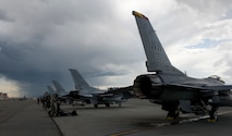 A fleet of aircraft sit on the flight line during RED FLAG-Alaska 17-2 June 16, 2017, at Eielson Air Force Base, Alaska. During RF-A, the 610th Air Control Flight out of Misawa Air Base, Japan, afforded aircraft extra eyes in the sky, ensuring pilots had 360 degrees of surveillance so they could tactfully execute the mission and bring the fight to the frontlines during the large force exercise. (U.S. Air Force photo by Airman 1st Class Haley D. Phillips)