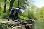 DNR staff stock trout into the North Branch of the Potomac River, May 10, 2017. 