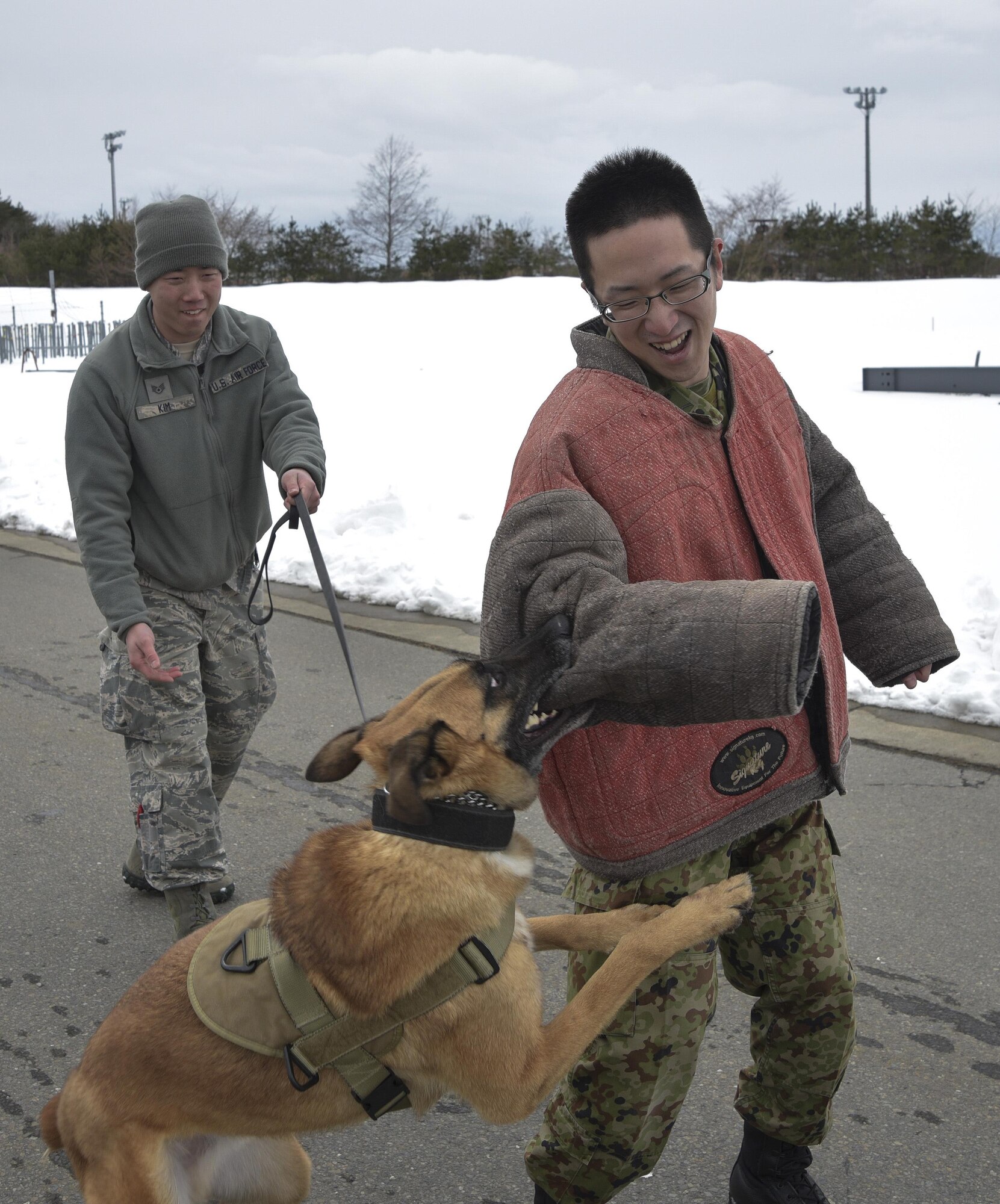 Drake, a military working dog with the 35th Security Forces Squadron, attacks Sgt. Shintarou Kinkuta, a military police member with the Japan Ground Self-Defense Force, during a three-day tour at Misawa Air Base, Japan, Feb. 22, 2017. On the first day, 29 JGSDF soldiers divided into groups by career field pairing up with their respective Air Force unit. (U.S. Air Force photo by Staff Sgt. Melanie A. Hutto)