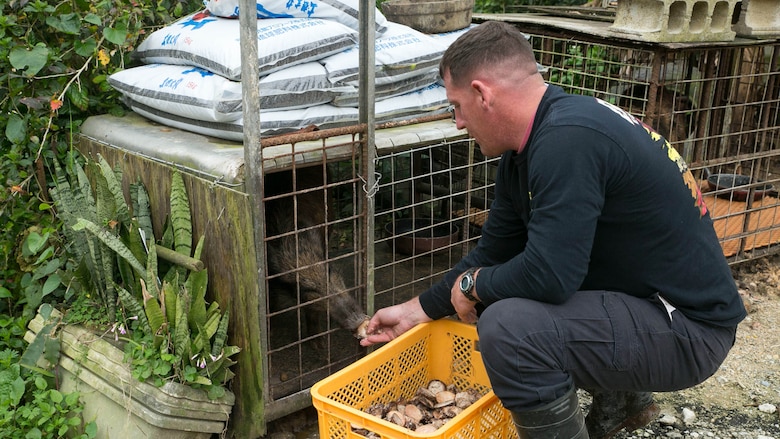 Gunnery Sgt. Todd Groves feeds one of the many pigs on Bokusei Kinjo’s farm, near Camp Hansen, Okinawa, Japan, Feb. 23, 2017. Groves, a maintenance chief with Small Craft Repair Platoon, Expeditionary Operations Training Group, III Marine Expeditionary Force, was a pig farmer in Fulton, Missouri, before joining the Marine Corps. Now, he has found a place in Okinawa he can call home. (U.S. Marine Corps photo by Lance Cpl. Bernadette Wildes)