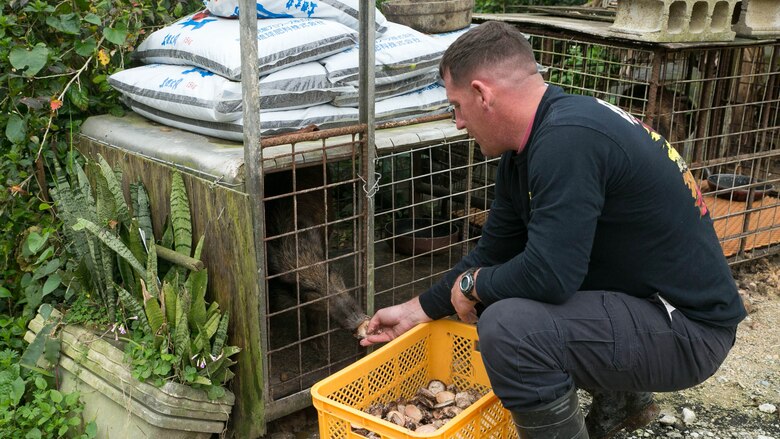 Gunnery Sgt. Todd Groves feeds one of the many pigs on Bokusei Kinjo’s farm, near Camp Hansen, Okinawa, Japan, Feb. 23, 2017. Groves, a maintenance chief with Small Craft Repair Platoon, Expeditionary Operations Training Group, III Marine Expeditionary Force, was a pig farmer in Fulton, Missouri, before joining the Marine Corps. Now, he has found a place in Okinawa he can call home. (U.S. Marine Corps photo by Lance Cpl. Bernadette Wildes)