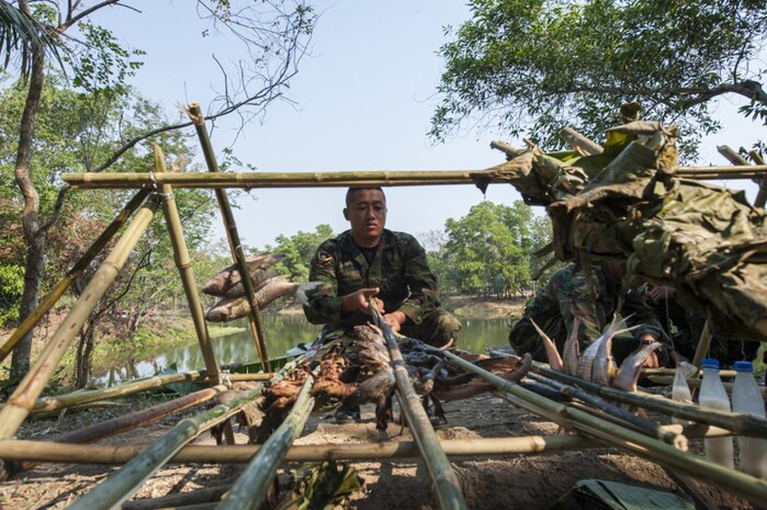Sgt. Chaiwat Lodsin, a jungle survival training instructor from the Thai Reconnaissance Battalion, explains different kinds of vegetation and herbs to be found in the jungles of Thailand during a jungle survival training as part of Cobra Gold 2017. Cobra Gold, in its 36th iteration, is the largest Theater Security Cooperation exercise in the Indo-Asia-Pacific. This year’s focus is to advance regional security and ensure effective responses to regional crises by bringing together a robust multinational force to address shared goals and security commitments in the Indo-Asia-Pacific region.