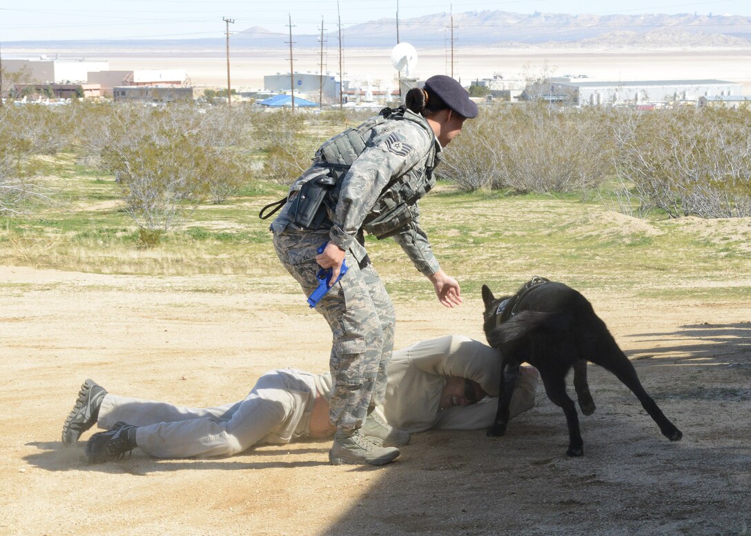 Airmen from the 412th Security Forces Squadron put on a military working dog demonstration for guests of the new Netflix show "Ultimate Beastmaster" Feb. 24. (U.S. Air Force photo by Kenji Thuloweit)