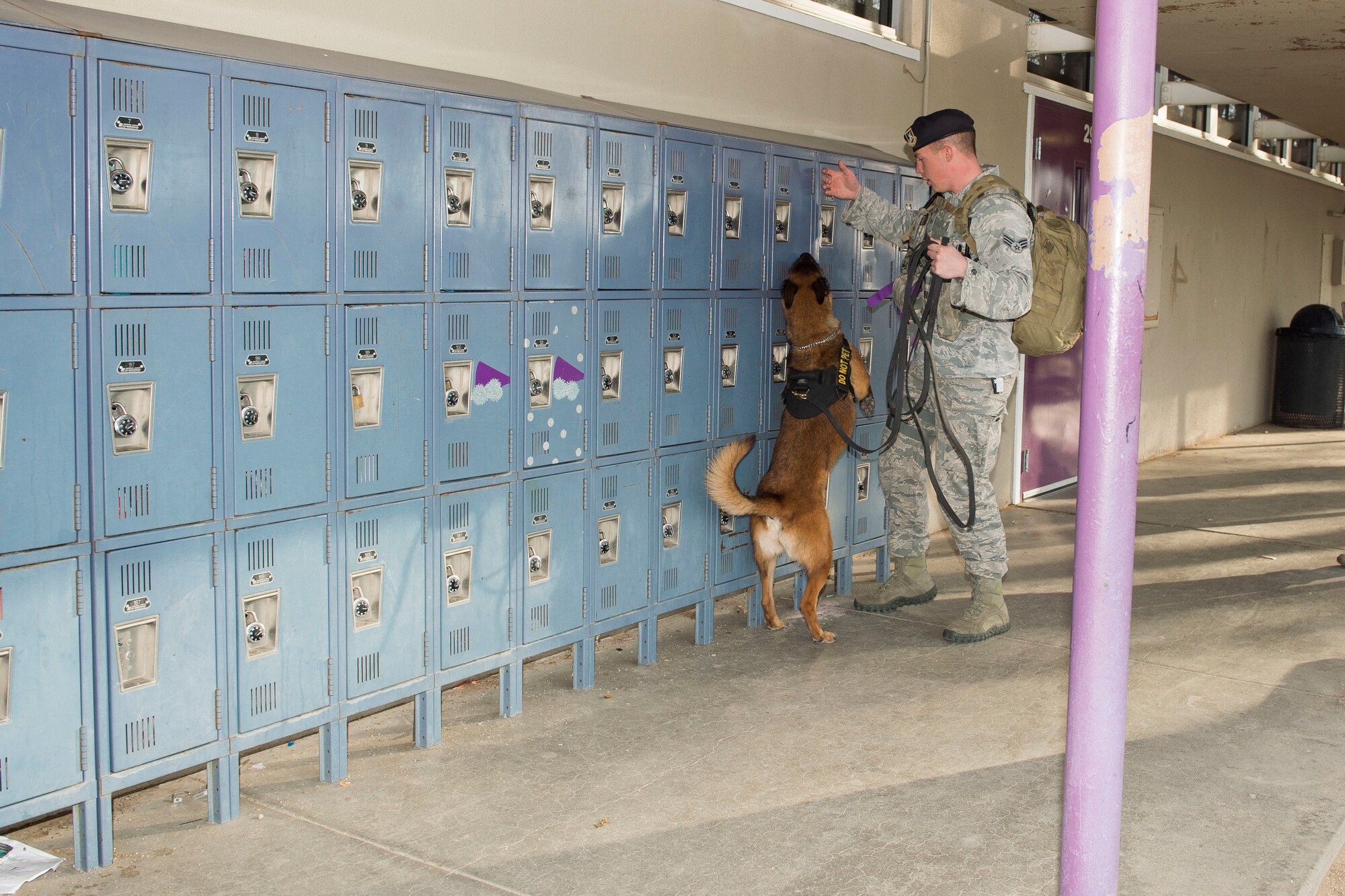 Senior Airman Jacob Dent and his partner Ria, both with the 412th Security Forces Squadron, check a locker area at Desert Junior-Senior High School Feb. 16. The 412th SFS working dog team was joined by a K-9 team from Kern County Sheriff’s Office during the sweep.  The operation was part of a week-long focus on school and youth program safety and security here. (U.S. Air Force photo by Ethan Wagner)