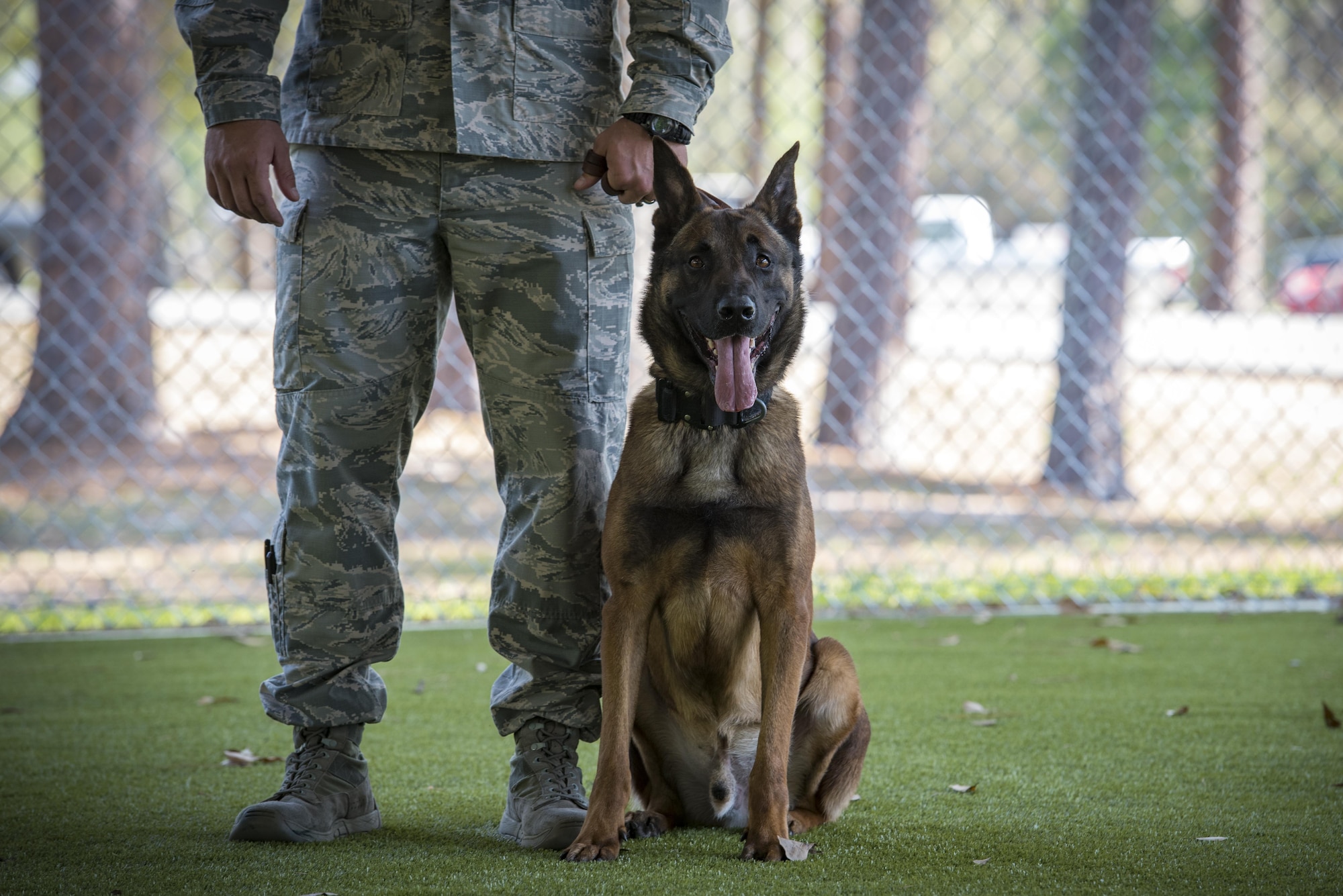 Military working dog Ssmokey stands beside his prior trainer, Staff Sgt. Jason Ashmore, 23d Security Forces Squadron, before a MWD leash transfer ceremony, Feb. 28, 2017, at Moody Air Force Base, Ga. Ssmokey was transferred from the care of Ashmore to Officer Jose Cruz, VPD K-9 handler, where he will continue his work as an explosive detective dog in the local community. (U.S. Air Force photo by Airman 1st Class Lauren M. Sprunk)