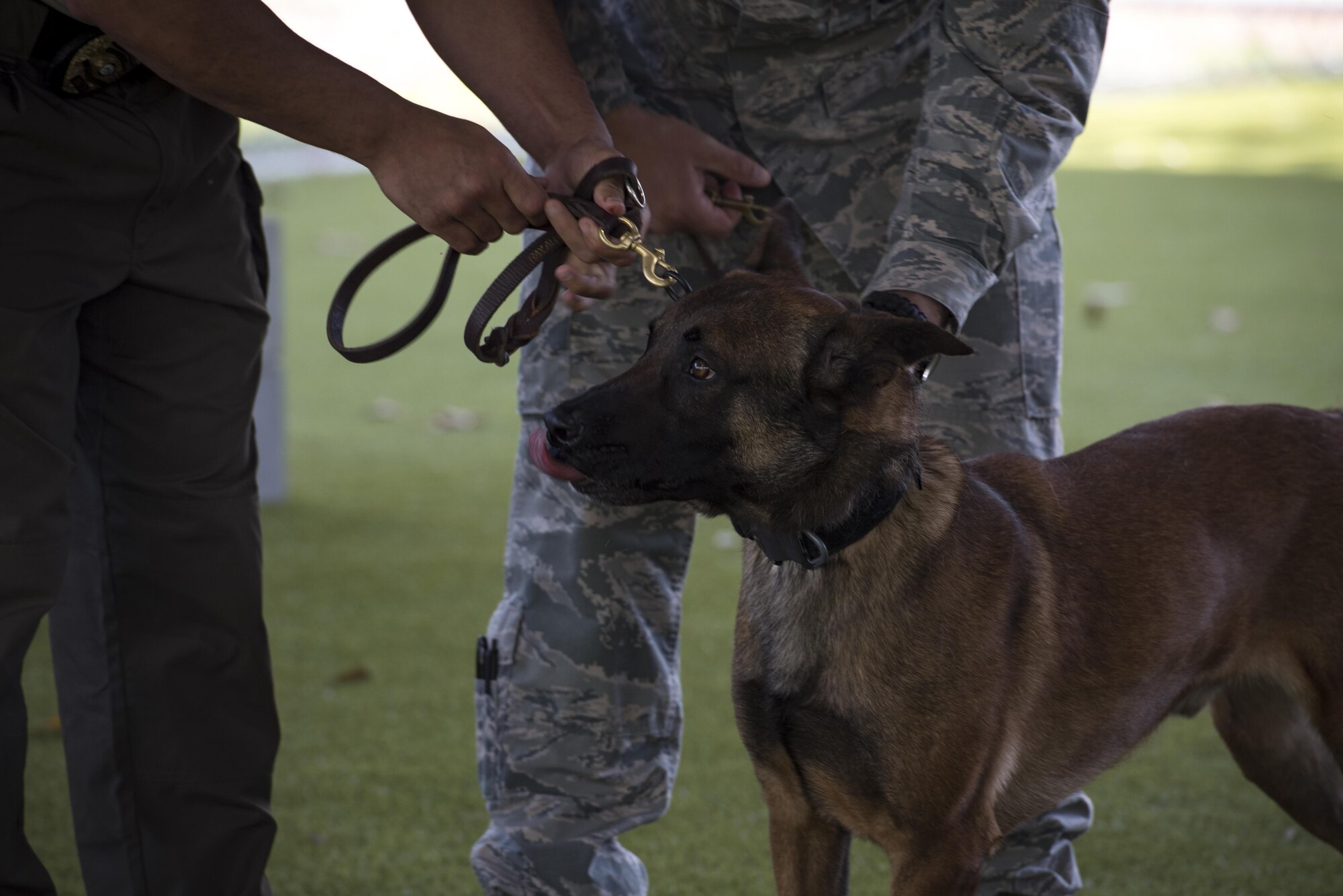 Officer Jose Cruz, Valdosta Police Department K-9 handler, puts a leash on military working dog SSmokey during a MWD leash transfer ceremony, Feb. 28, 2017, at Moody Air Force Base, Ga. Ssmokey was transferred from the care of Staff Sgt. Jason Ashmore, 23d SFS MWD trainer, to Cruz, where he will continue his work as an explosive detective dog in the local community. (U.S. Air Force photo by Airman 1st Class Lauren M. Sprunk)