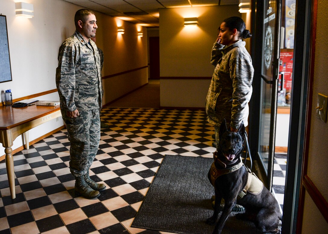Senior Airman Emelina Braden, a military working dog handler assigned to the 28th Security Forces Squadron, and Eelsen, a MWD assigned to the 28th SFS, reports to Maj. Jaime Hernandez, commander of the 28th SFS, at Ellsworth Air Force Base, S.D., Feb. 24, 2017.  In order to earn explosive detection certification, Braden and Eelsen were tested on their ability to detect multiple planted explosive aids throughout a building on base. (U.S. Air Force photo by Senior Airman Anania Tekurio)