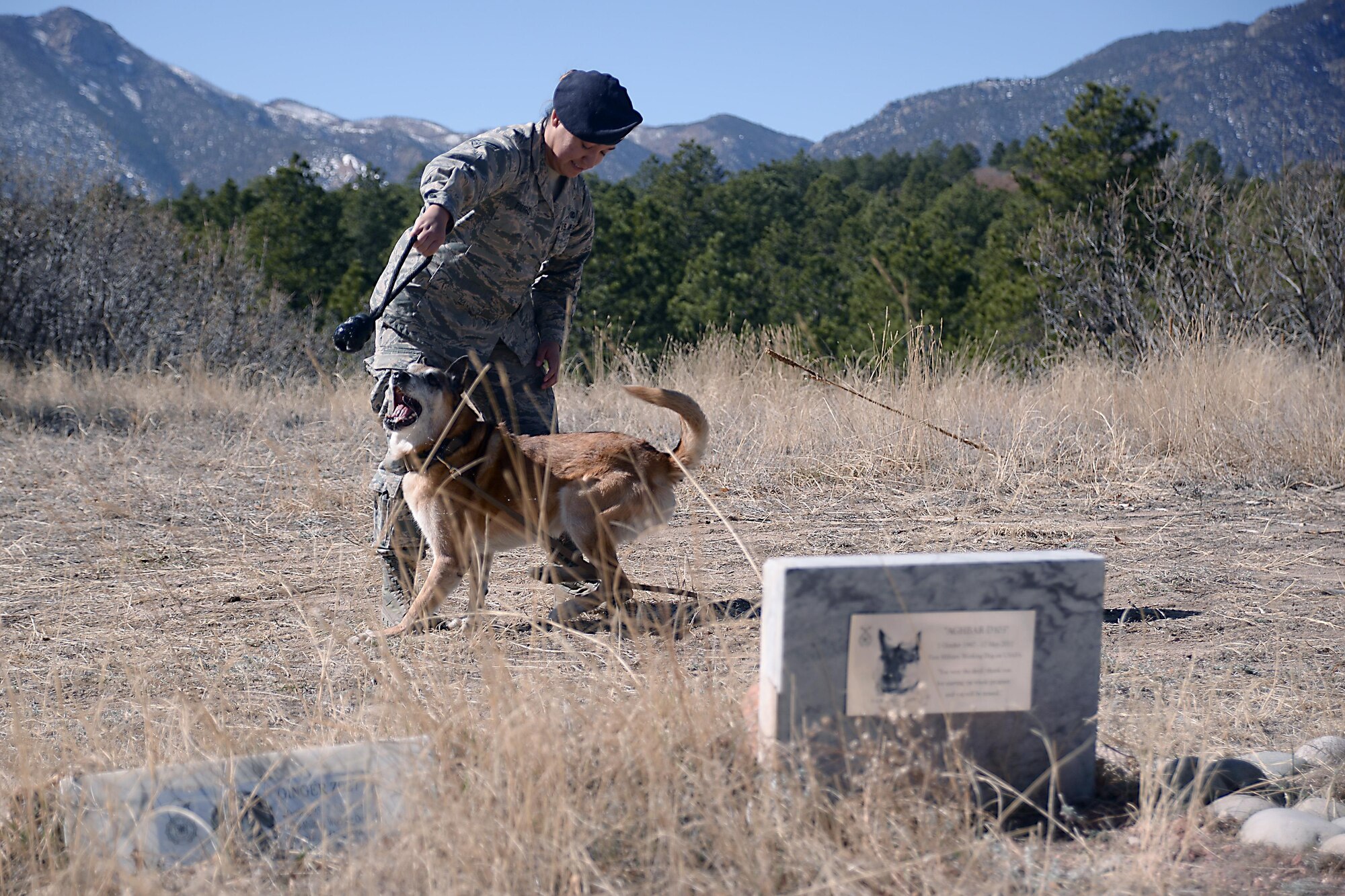 Senior Airman Alexis Fierro shares a moment with her military working dog, "Nick," at the 10th Security Forces Squadron Military Working Dog Memorial Grounds, March 2, 2017, at the U.S. Air Force Academy. Fierro is one of the squadron's military working dog handlers. Airmen from the squadron are scheduled to give the grounds a complete brush-up March 4, 2017. 