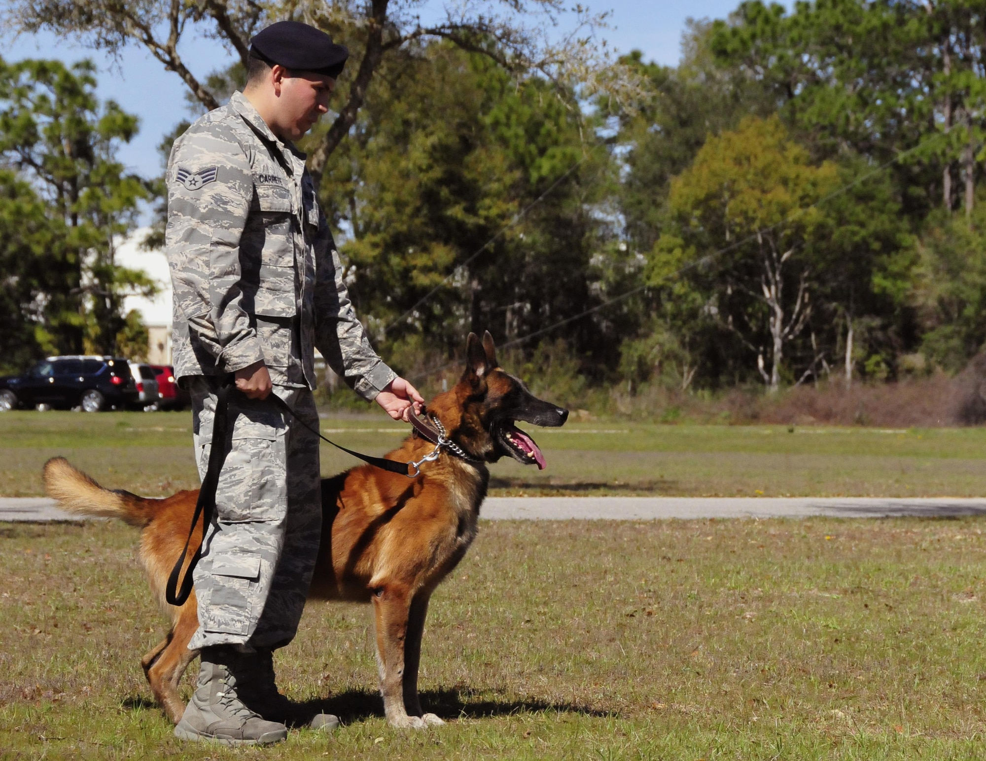 The 96th Security Forces Squadron performed K-9 attack demonstrations during the 919th Special Operations Wing’s annual Wing Day March 4 at Duke Field, Fla.  The wing sets aside a special day each year to show appreciation for its reservists and their family members. Events included music, food, children’s games, etc. (U.S. Air Force photo/Tech. Sgt. Kimberly Moore)