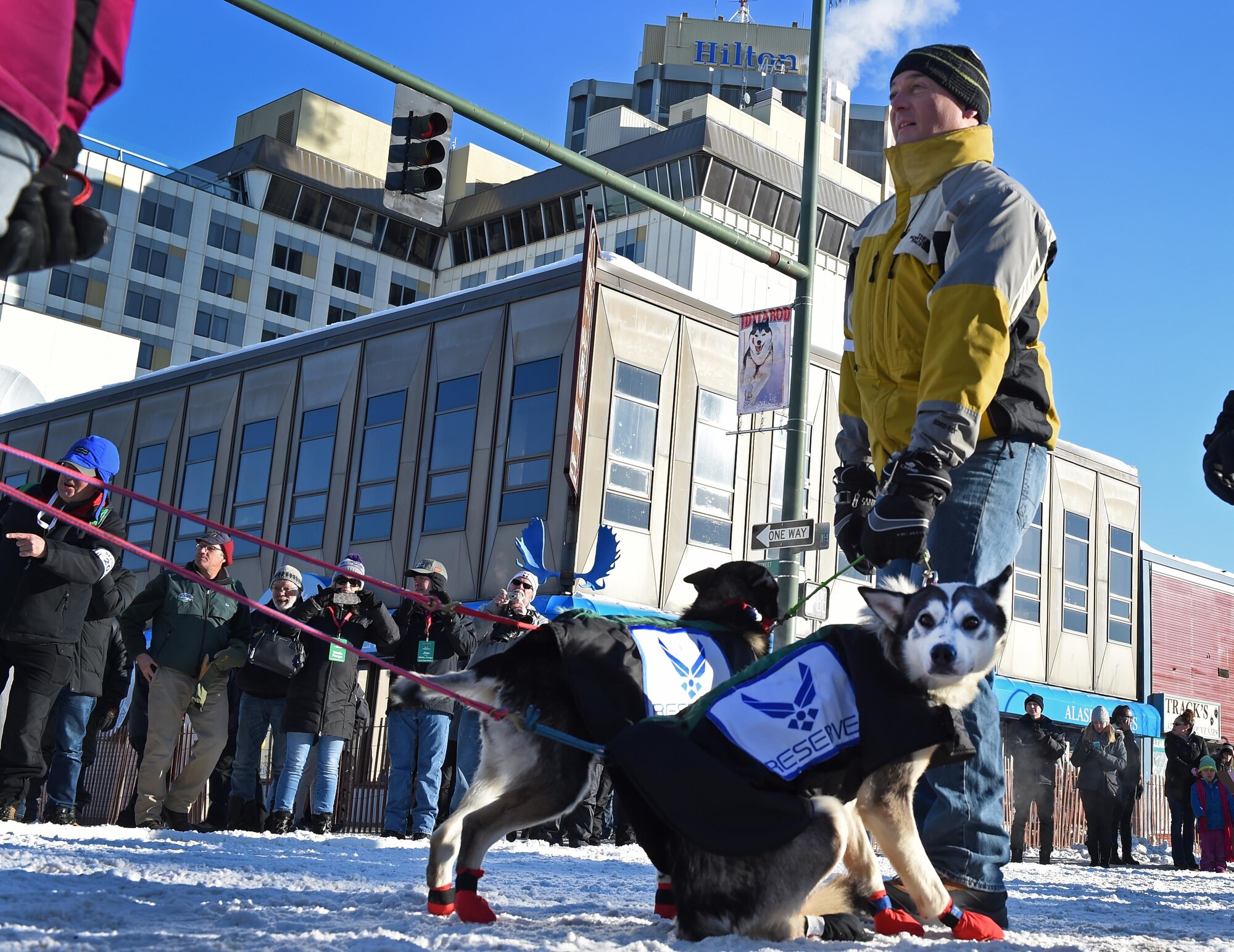 Air Force Col. George T.M. Dietrich III, Joint Base Elmendorf-Richardson and 673d Air Base Wing commander, holds on to Air Force Lt. Col. Roger Lee’s sled dogs at the 45th annual Iditarod Trail Sled Dog Race in Anchorage, Alaska, March 4, 2017. More than 1,150 dogs pulled 72 mushers for the day’s 11 mile run to Campbell Airstrip. 