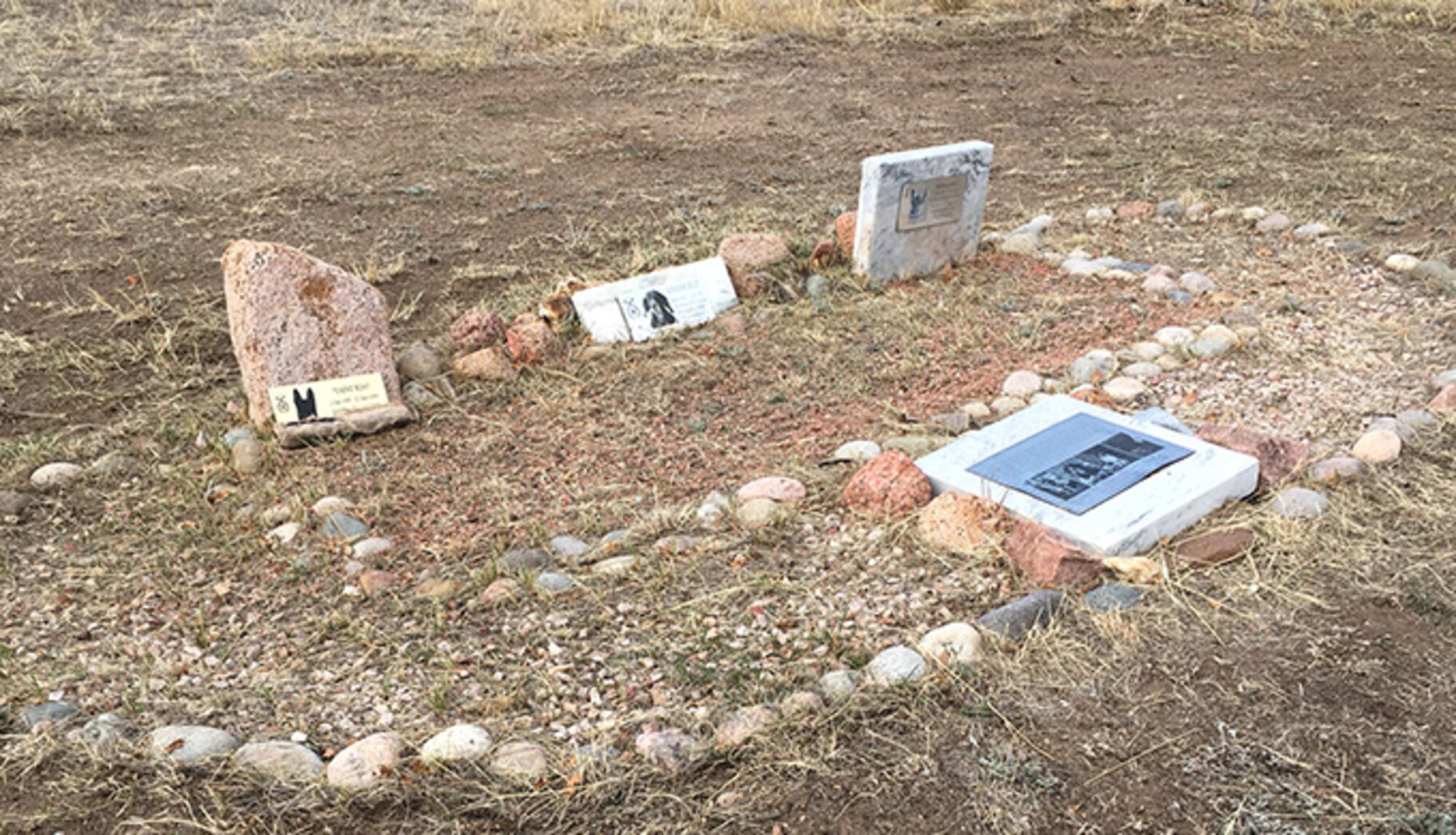 Headstones for military working dogs are seen at the 10th Security Forces Squadron's Military Working Dog Memorial Grounds, Mar 4. The site is cared for by MWD handlers assigned to the squadron at the U.S. Air Force Academy. (U.S. Air Force photo/Senior Airman Alexis Fierro)