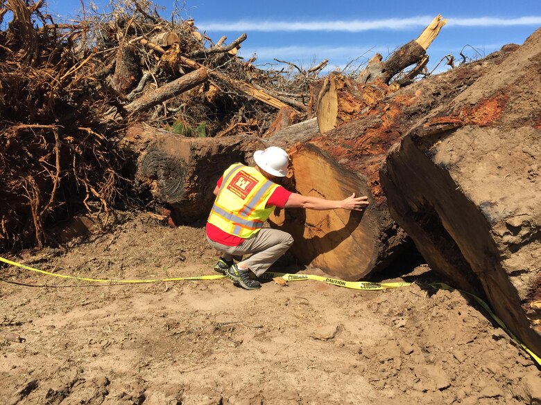 Mobile District Natural Disaster Manager J. Matt Tate, U.S. Army Corps of Engineers, assesses debris Feb. 21 near Albany, Ga., following a tornado. Assessing the type, quantity, and location of debris following a natural disaster is a critical piece of emergency management operations.