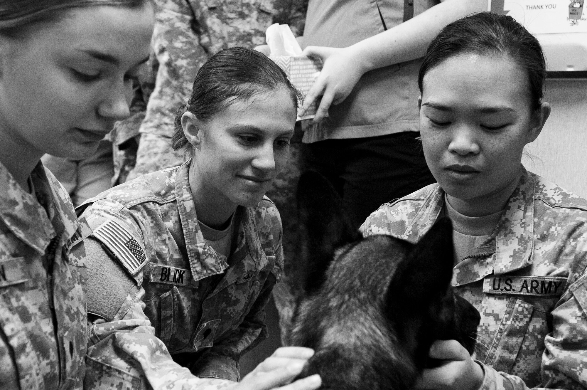 U.S. Army veterinary technicians gather to say farewell to military working dog Riki at the veterinary treatment facility on Joint Base Pearl Harbor-Hickam, Hawaii, March 2, 2017. After six-years of service, Riki was euthanized due to progressive incurable illness. (U.S. Air Force photo by Tech. Sgt. Heather Redman)