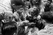 Members of the U.S. Air Force, Army, and Navy came together to say good bye to military working dog Riki at the veterinary treatment facility on Joint Base Pearl Harbor-Hickam, Hawaii, March 2, 2017. After six-years of service, Riki was euthanized due to progressive incurable illness. (U.S. Air Force photo by Tech. Sgt. Heather Redman)