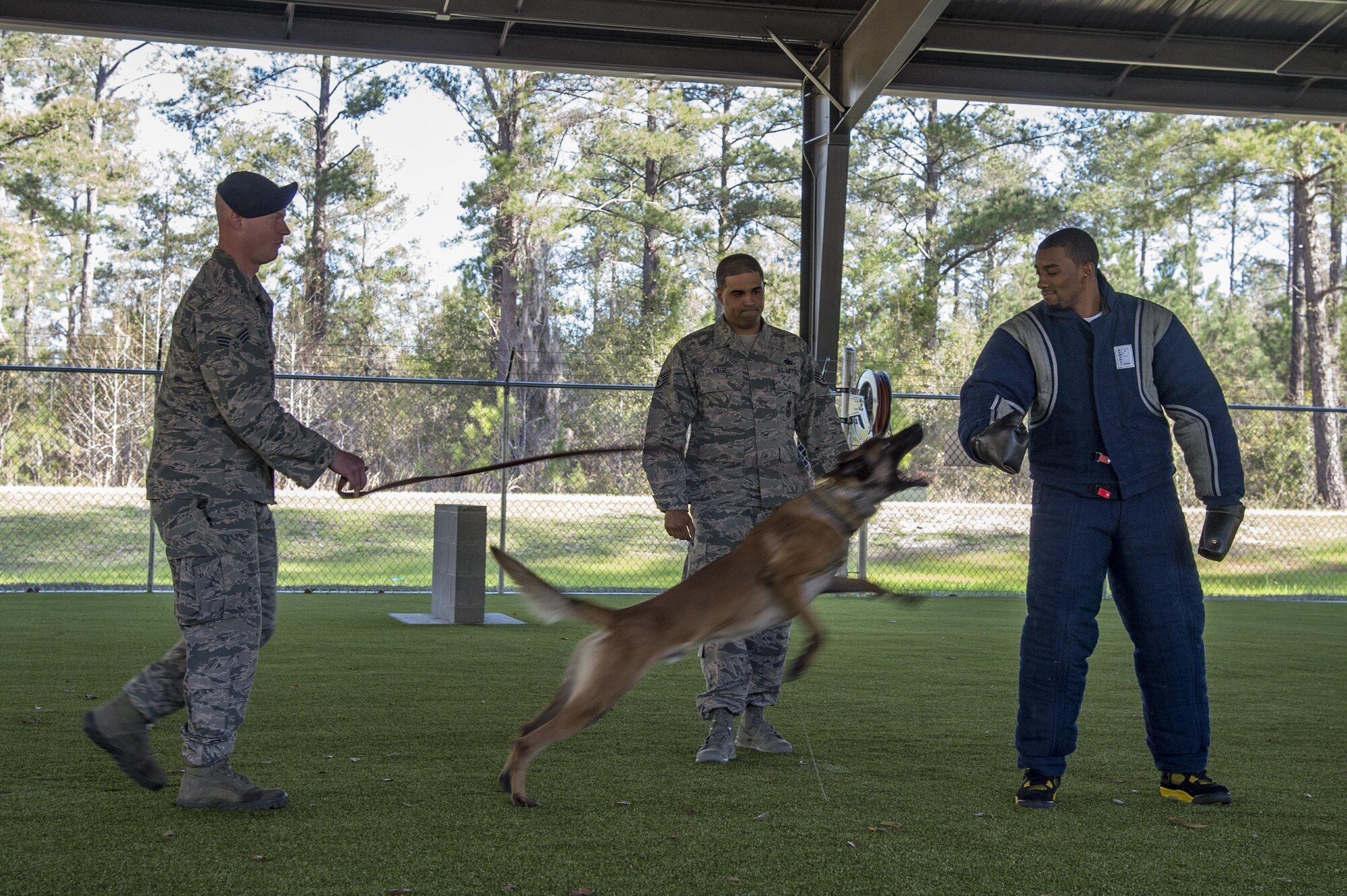 Malcolm Mitchell, right, New England Patriots’ wide receiver and Super Bowl LI Champion, is attacked by Military Working Dog Ttoby during a visit March 7, 2017, at Moody Air Force Base, Ga. Mitchell, a Valdosta native, got a glimpse of a typical day in the life of Moody Airmen. Mitchell also spent time with Airmen and signed autographs for local Patriots’ fans during his visit. (U.S. Air Force photo by Senior Airman Ceaira Young)