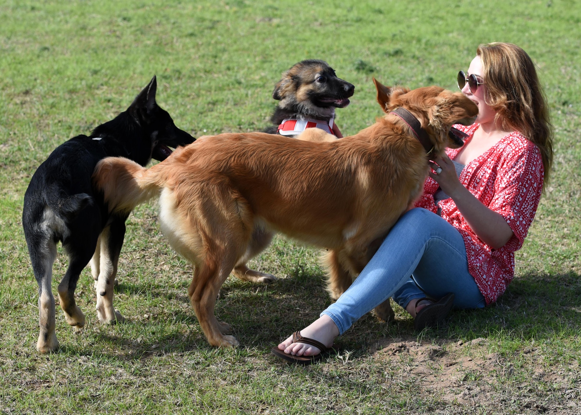 Rachel Bochenko and her 4-month-old puppy, Indy, interact with other dogs while visiting the dog park at Tyndall Air Force Base, Fla., March 1, 2017. A baseball field was recently repurposed to provide a place for both canines and their humans to have a ball. (U.S. Air Force photo by Airman 1st Class Isaiah J. Soliz/Released) 