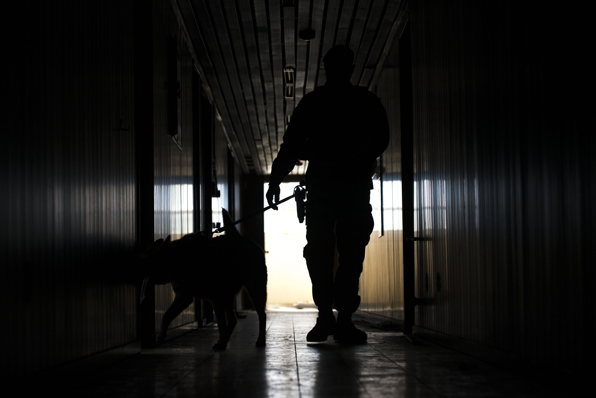 U.S. Air Force Staff. Sgt. Miguel Rodriguez, 39th Security Forces Squadron military working dog (MWD) handler, and Rambo, search a building for simulated substances during detection training, Mar. 2, 2017, at Incirlik Air Base, Turkey. Different MWD’s are trained to scout and detect various substances the enemy may employ. (U.S. Air Force photo by Senior Airman John Nieves Camacho)