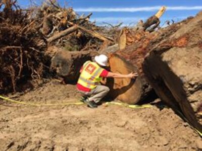 Mobile District Natural Disaster Manager J. Matt Tate, U.S. Army Corps of Engineers, assesses debris Feb. 21 near Albany, Ga., following a tornado. Assessing the type, quantity, and location of debris following a natural disaster is a critical piece of emergency management operations.