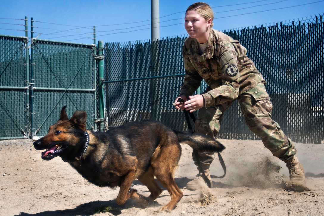 Army Pfc. Heaven Southard releases her military working dog, Jerry, during a demonstration at Camp Arifjan, Kuwait, March 7, 2017. Southard is a military working dog handler assigned to the Directorate of Emergency Services in Kuwait. Army photo by Staff Sgt. Dalton Smith