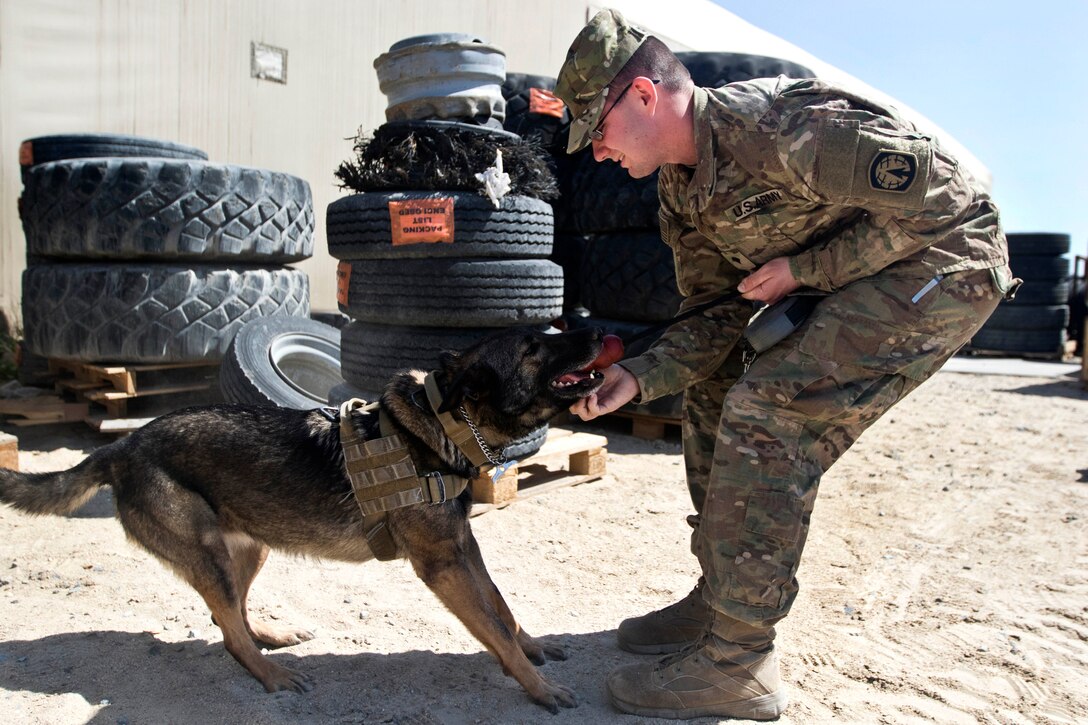 Army Spc. Michael Coffey practices obedience with Diana, his military working dog, during a demonstration at Camp Arifjan, Kuwait, March 7, 2017. Coffey is a military working dog handler assigned to the Directorate of Emergency Services in Kuwait. Army photo by Staff Sgt. Dalton Smith
