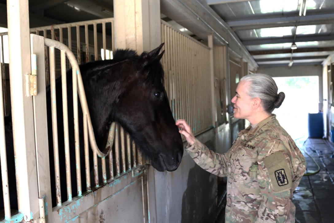 Army Chief Warrant Officer 2 Margaret Pierson, a food safety officer, with the 195th Medical Detachment Veterinary Service Support, rubs the nose of a horse, March 7, 2017, at the Kuwait Military Department of Defense. Their visit is part of the military to military project of sharing veterinarian services the United States has with its host nation of Kuwait. (U.S. Army photo by Sgt. Tom Wade, USARCENT PAO)