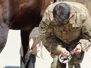 Maj. Curt Degeyter, veterinary preventative Maj. Curt Degeyter, a veterinary preventative medicine officer, with the195th Medical Detachment Veterinary Service Support, checks a horse’s foot for a crippling inflammatory condition, known as laminitis, March 7, 2017, at the Kuwait Military of Defense. Their visit is part of the military to military project of sharing veterinarian services the United States has with its host nation of Kuwait. (U.S. Army photo by Sgt. Tom Wade, USARCENT PAO)